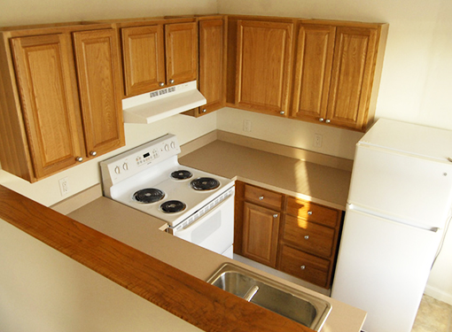 Wellesley apartment kitchen